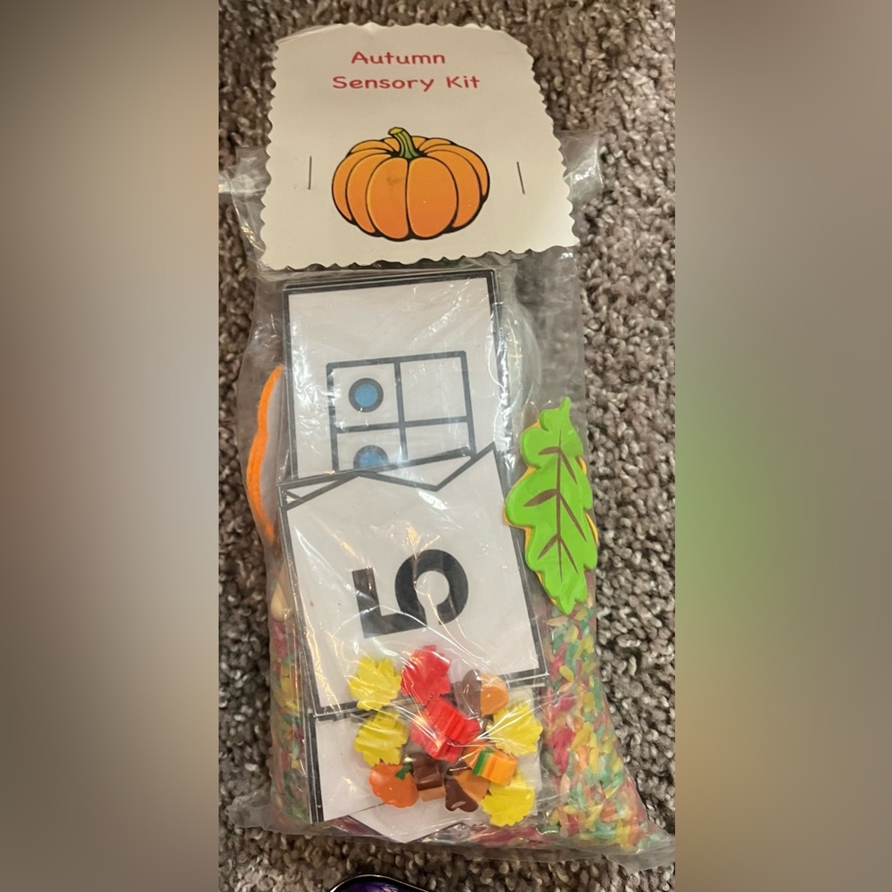 Autumn ten frame sensory kit